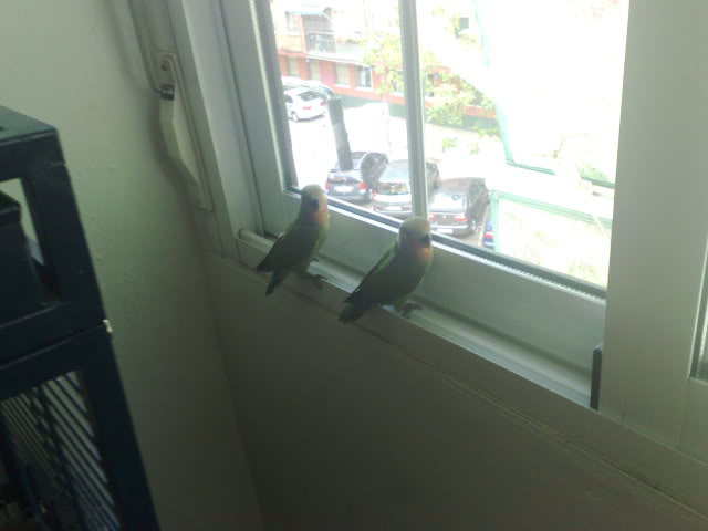 23062009237.jpg