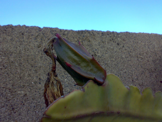 230620116452.jpg