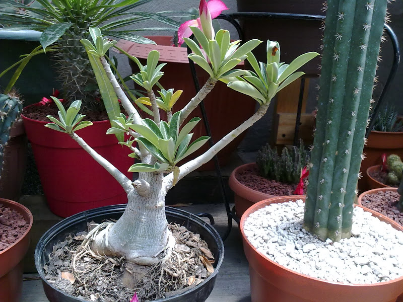 23062012432.jpg