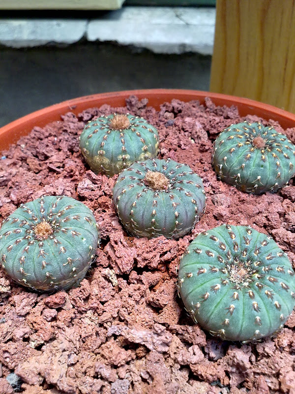 23062012439.jpg