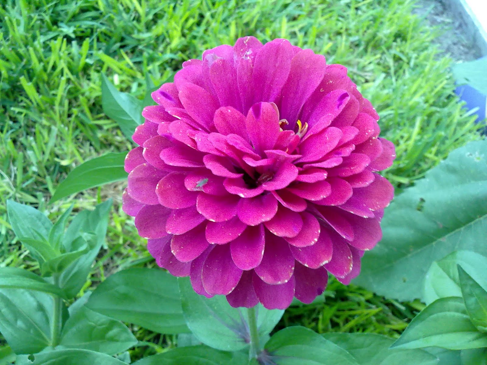 230720101672.jpg