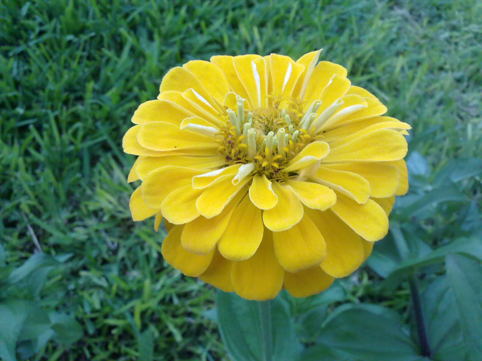 230720101673.jpg