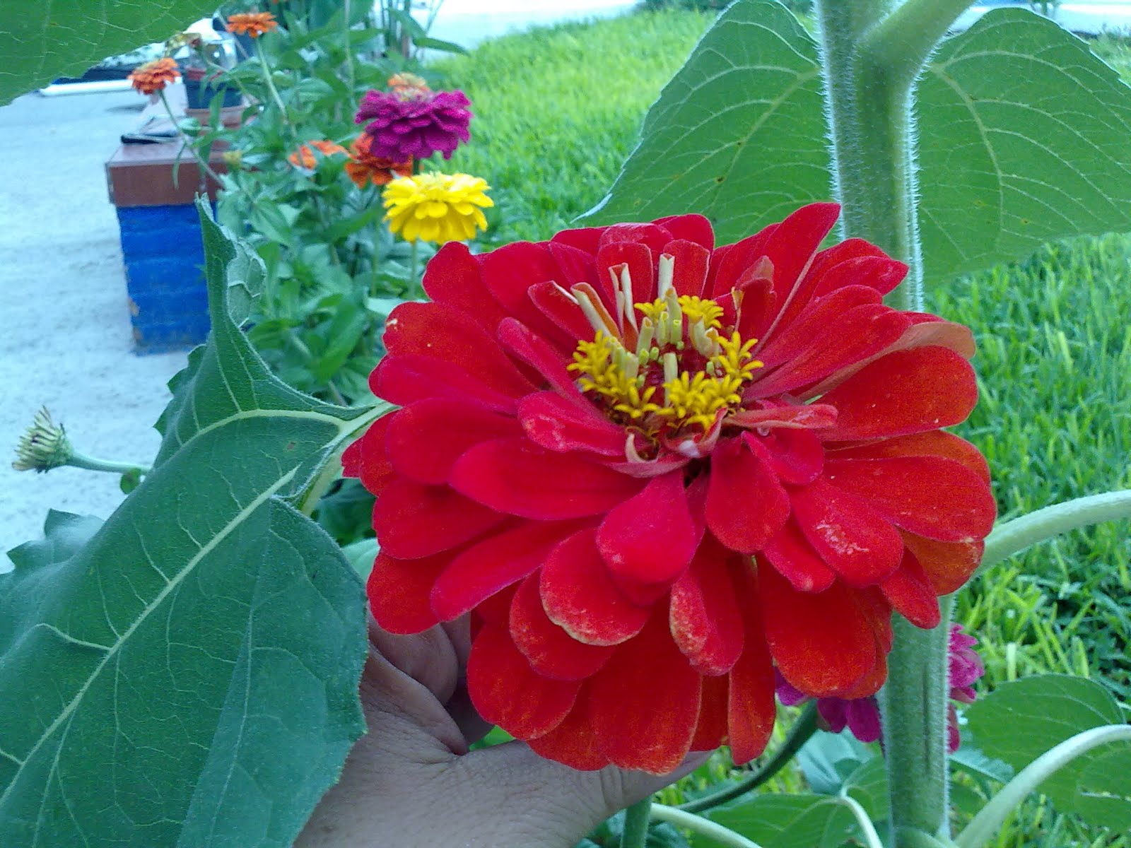 230720101681.jpg