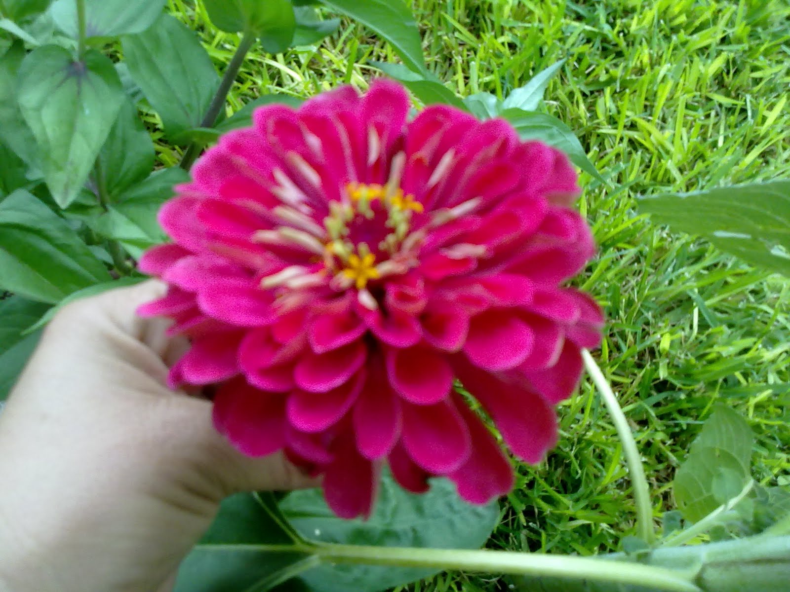 230720101682.jpg