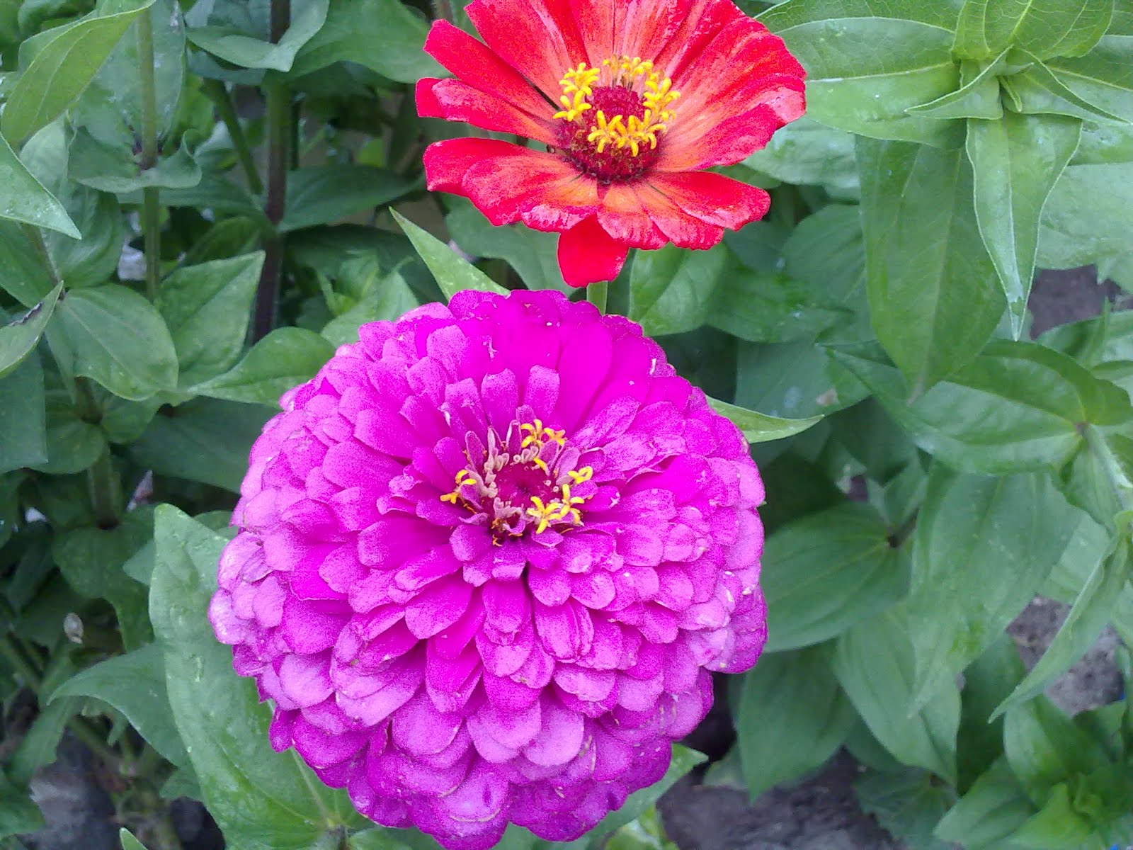 230720101686.jpg
