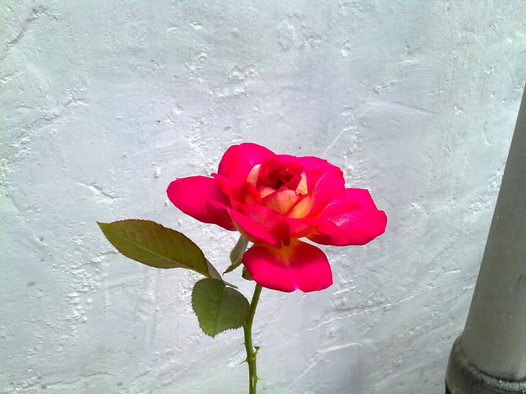 23072010655.jpg