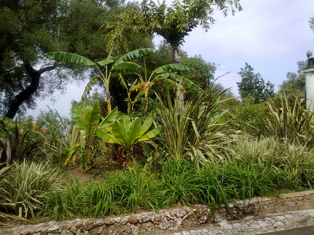 23072011068.jpg