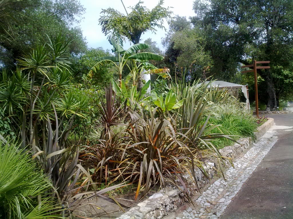 23072011070.jpg