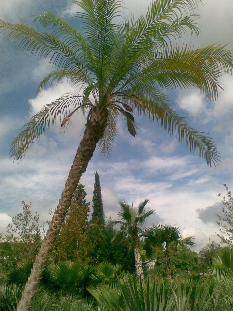 23092007008.jpg