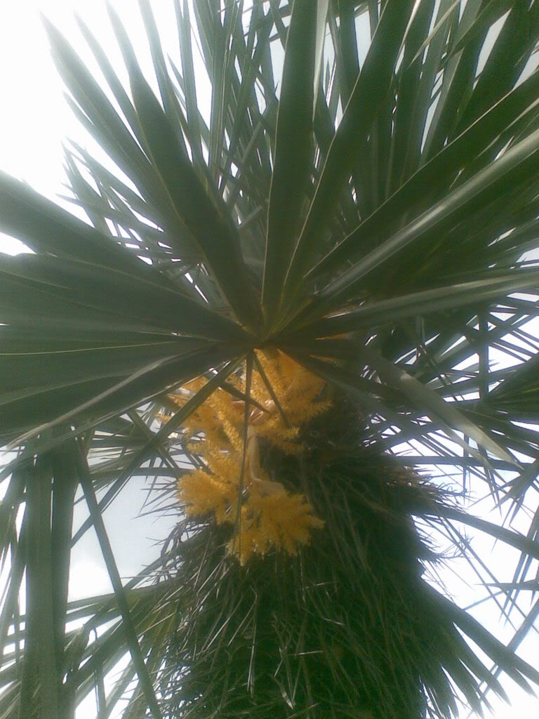 23092007023.jpg