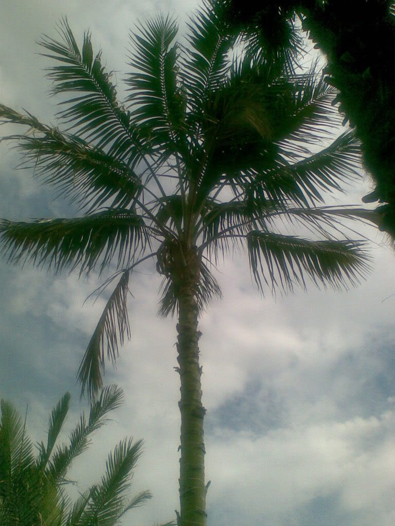 23092007035.jpg