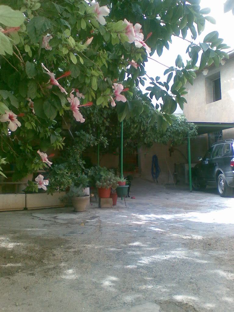 23092007064.jpg