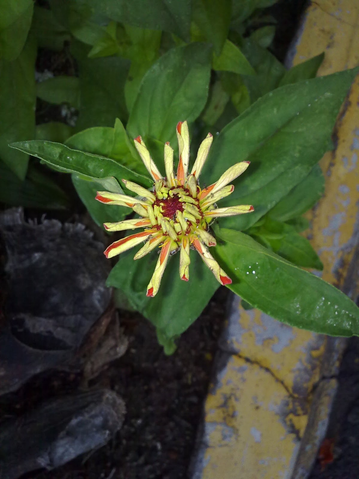 230920103712.jpg