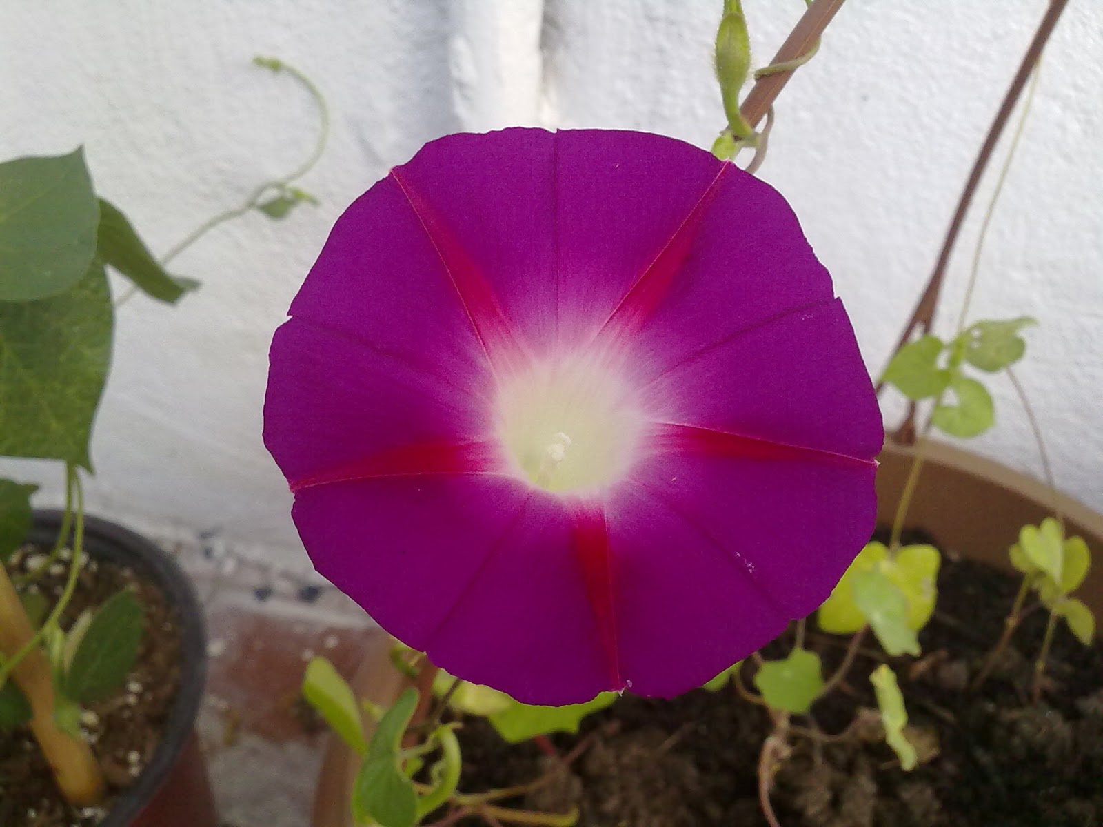 230920103715.jpg