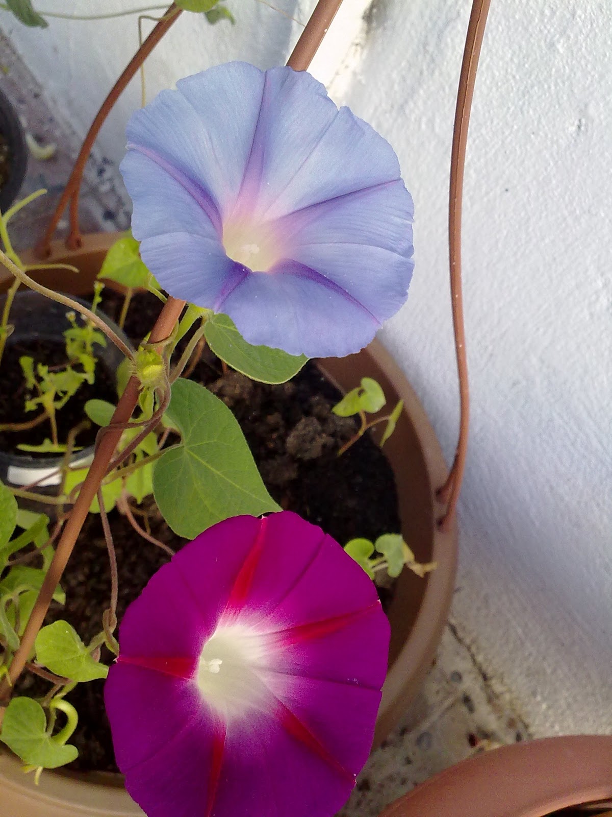 230920103716.jpg