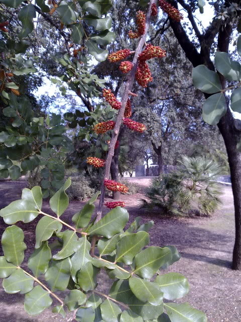 23102010688.jpg