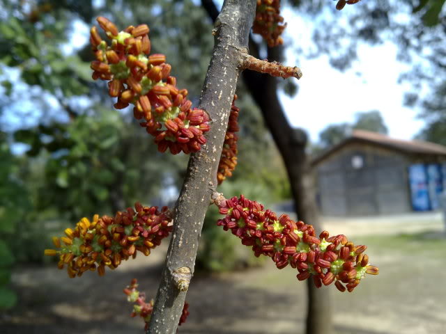 23102010689.jpg