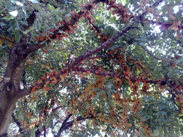 23102010690.jpg