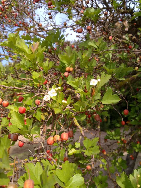 23102010694.jpg