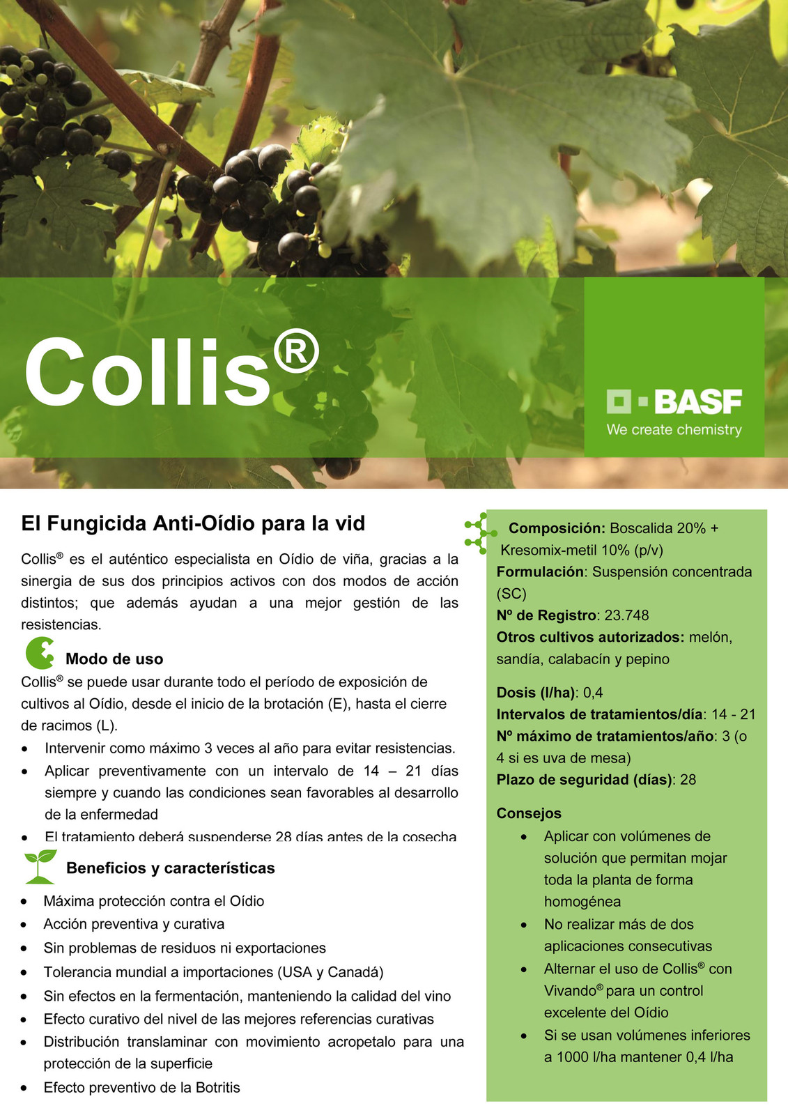 233&R=12938&D=http%3A%2F%2Fwww%2Einterempresas%2Enet%2Fboletin%2F2015%2F05%2FBasf%2FCollis%2Ejpg.jpg