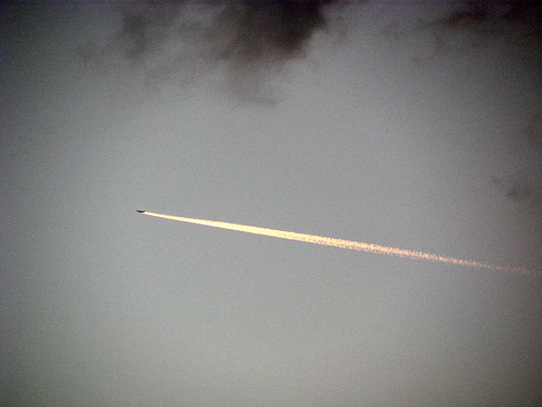 2345486869_1d71f9763e.jpg