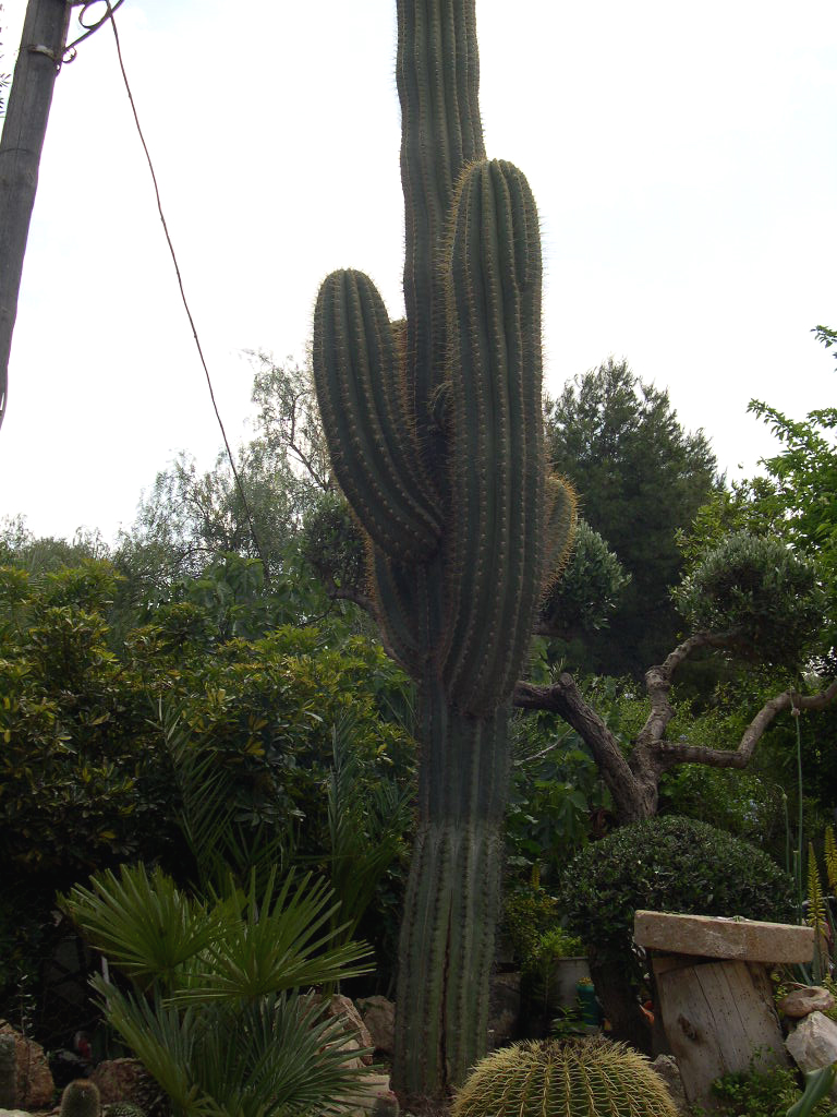 2365457797_d57d4278ac_o.jpg