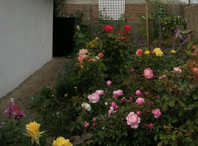 23_abril_031.jpg