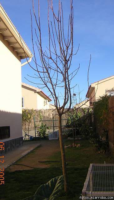 23ee459d.jpg