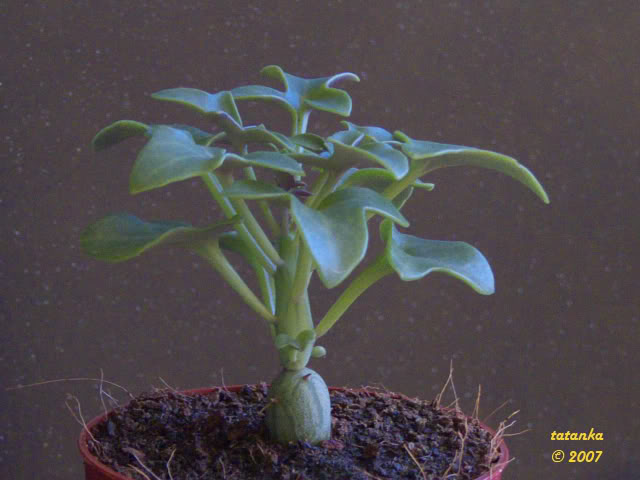 23P1000850.jpg