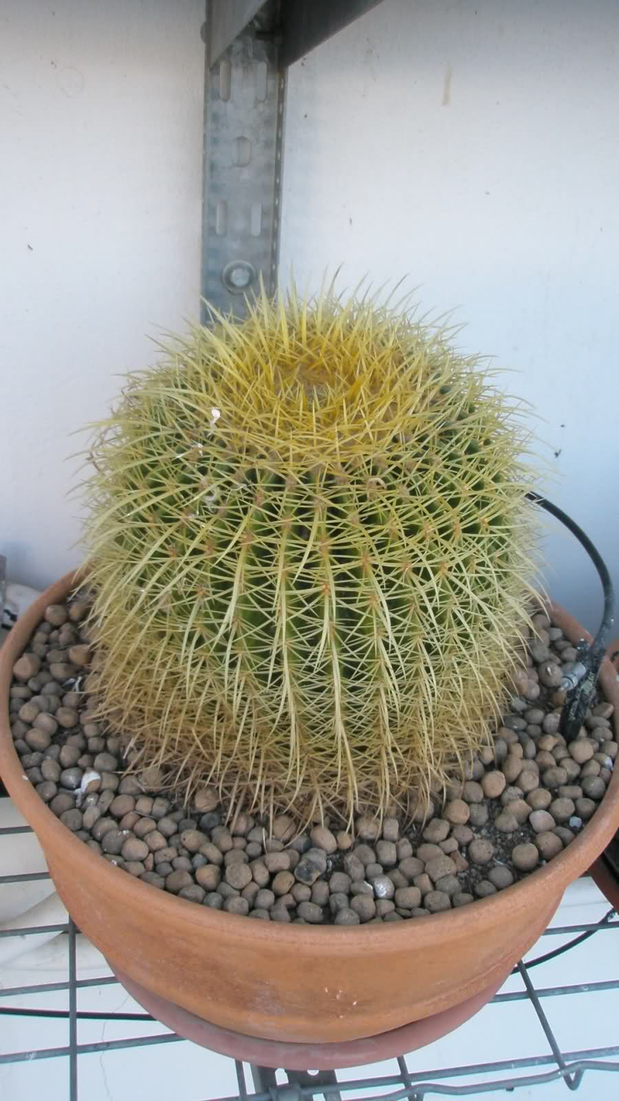 23vx9b8.jpg