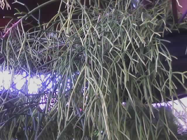 24-12-07_1635.jpg