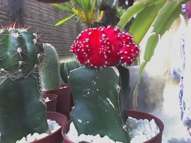 24-12-07_1639.jpg