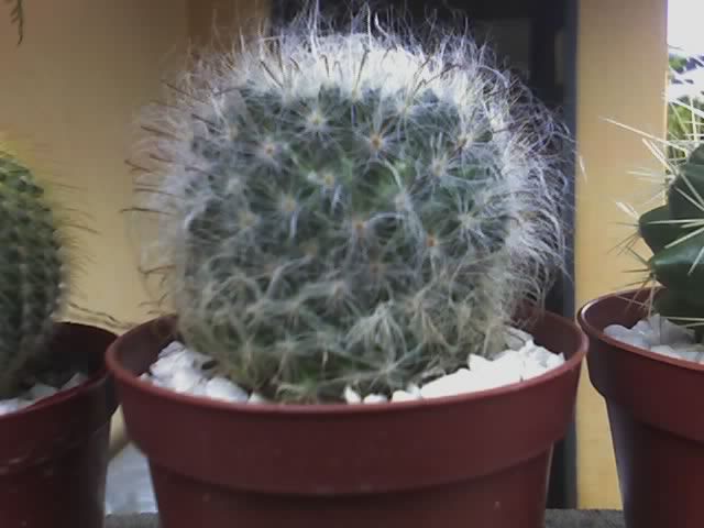 24-12-07_1651.jpg