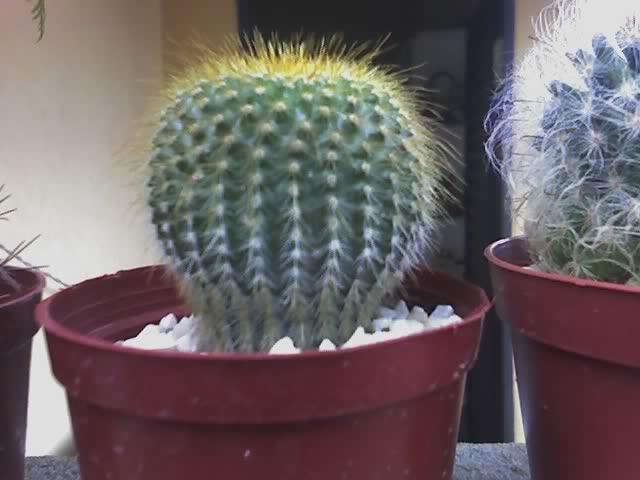 24-12-07_1652.jpg