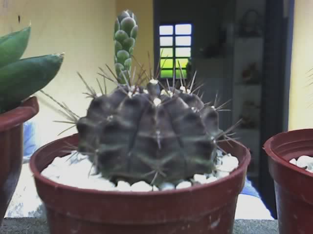24-12-07_1654.jpg