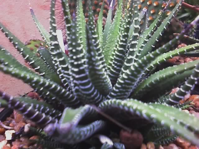 24-12-07_1705.jpg