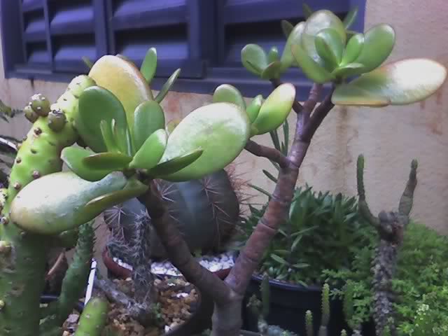 24-12-07_1708.jpg