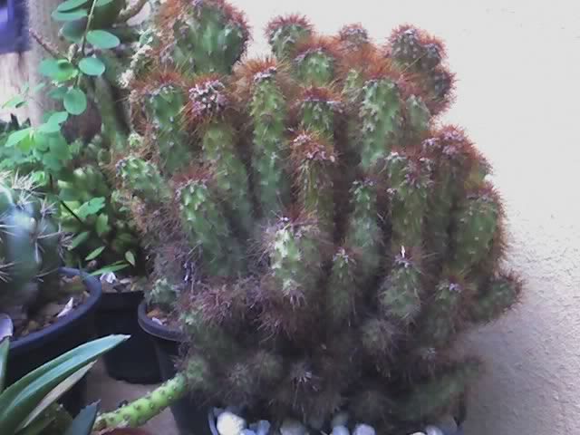 24-12-07_1709.jpg