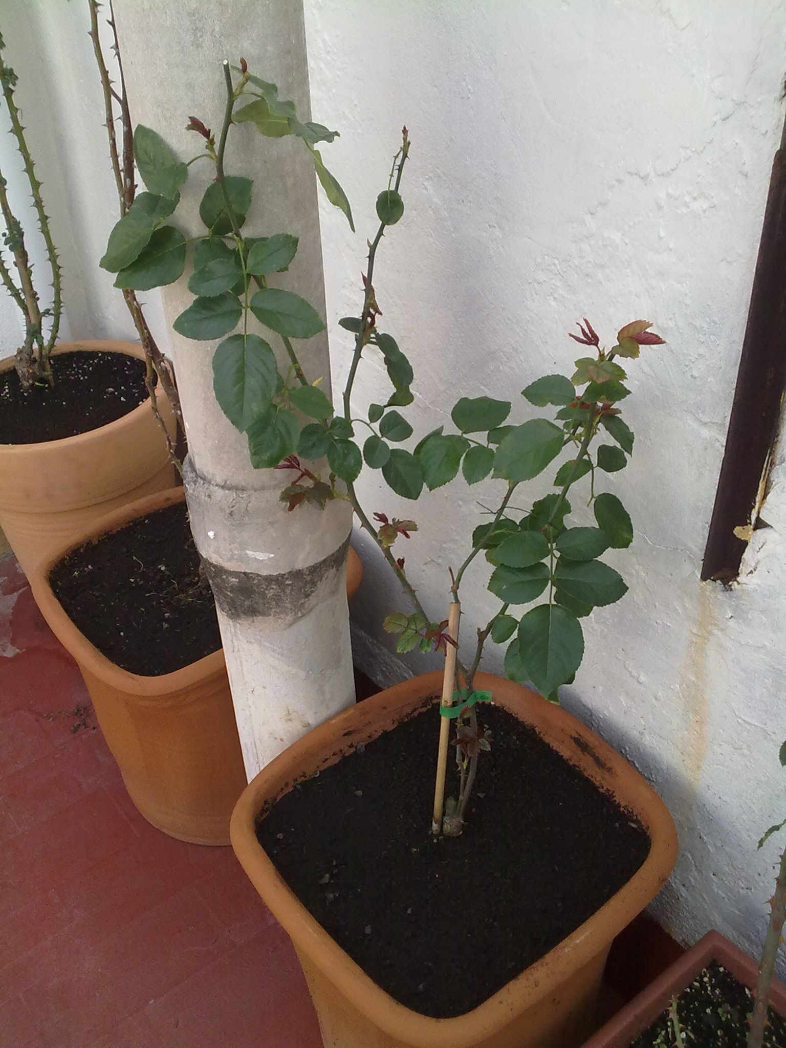 240220111208.jpg