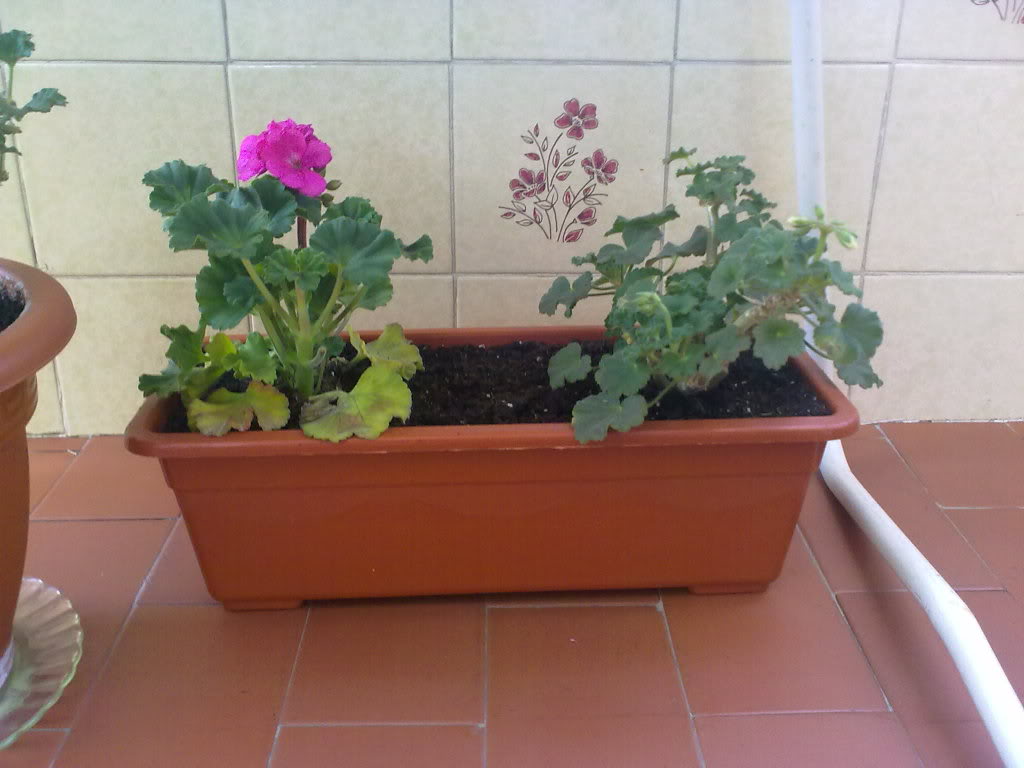 24032012014.jpg
