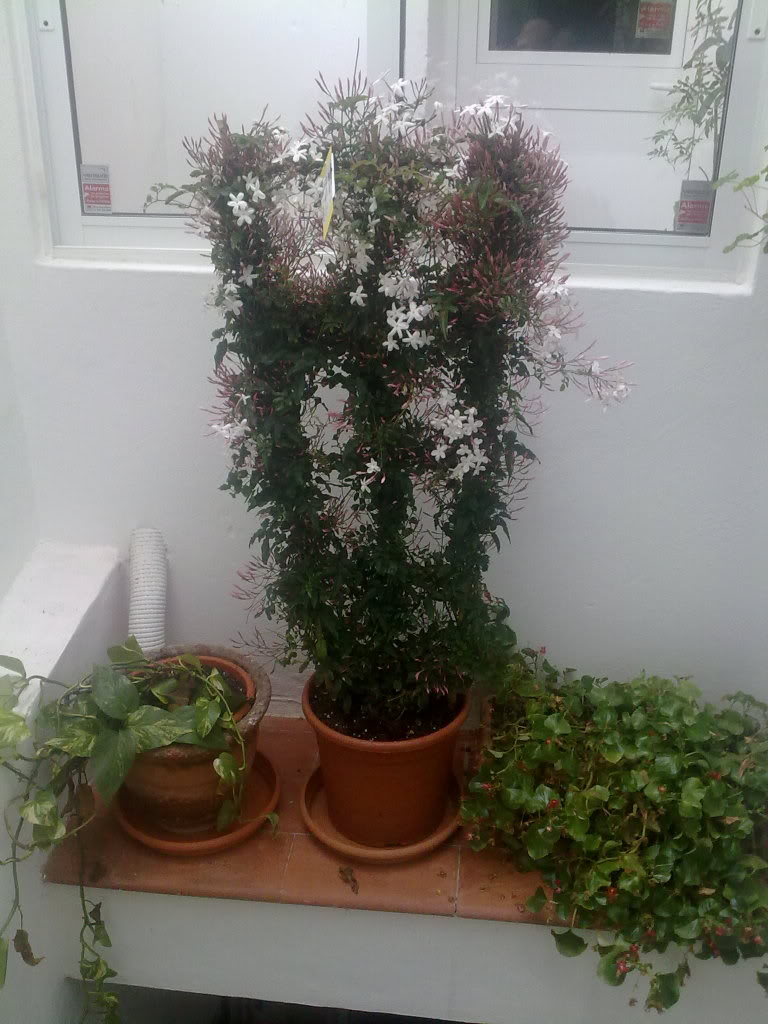 240320122706.jpg