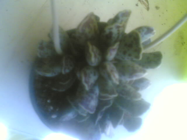 24042009004.jpg