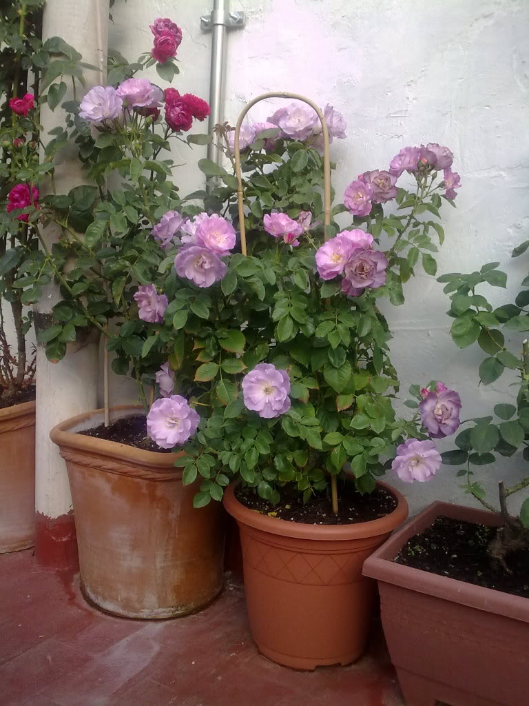 240620111978.jpg