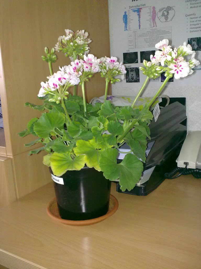 24062011314.jpg