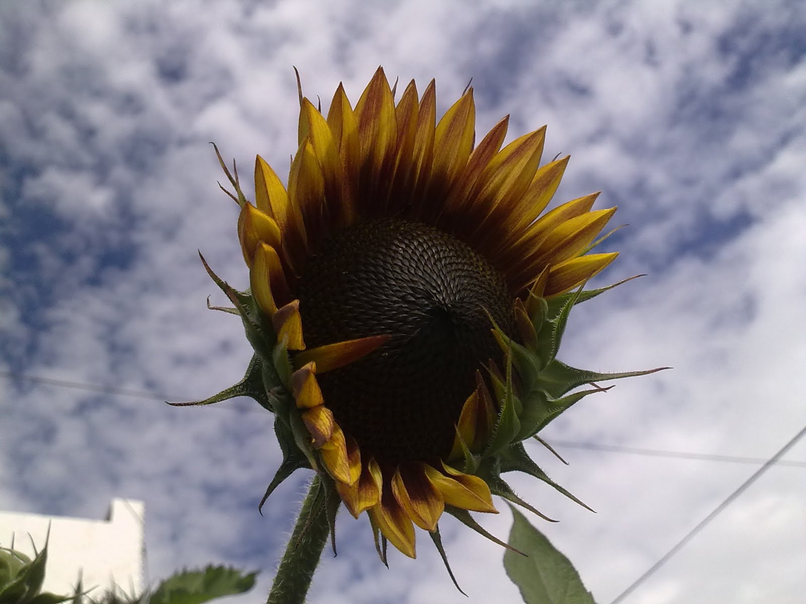 240720101695.jpg
