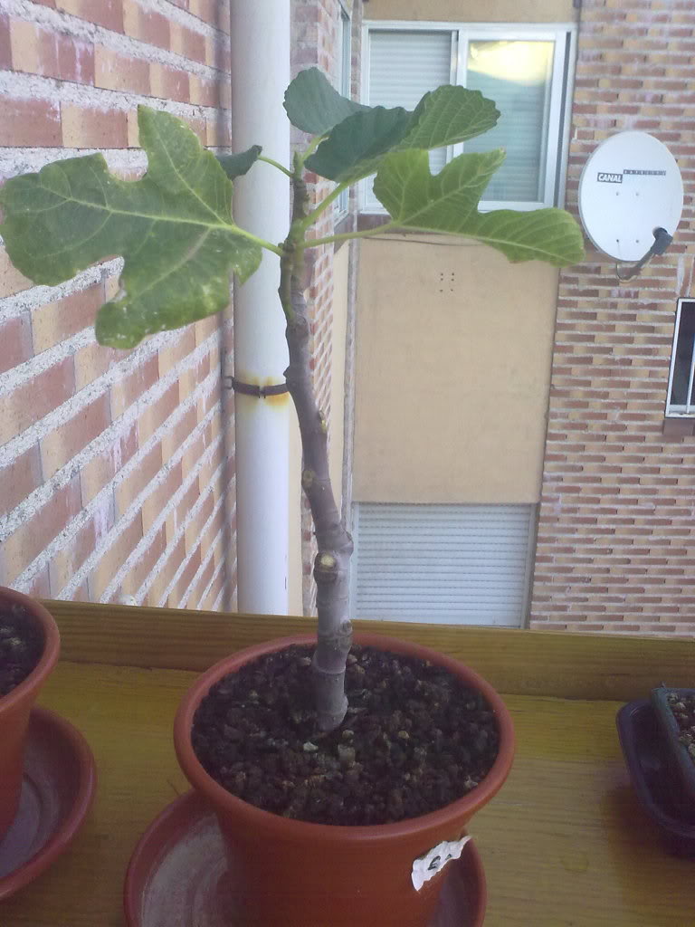 24082010027.jpg