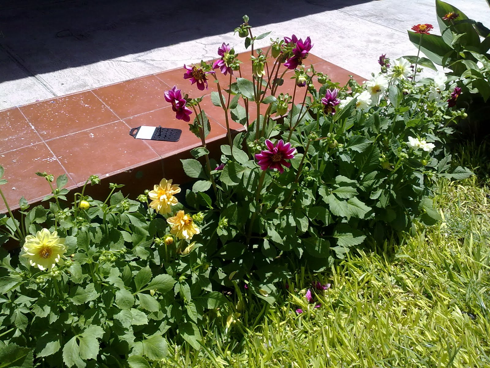 240820102999.jpg