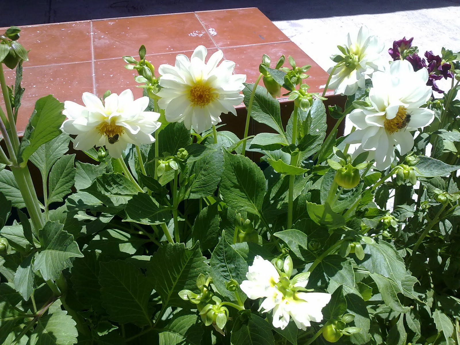 240820103000.jpg