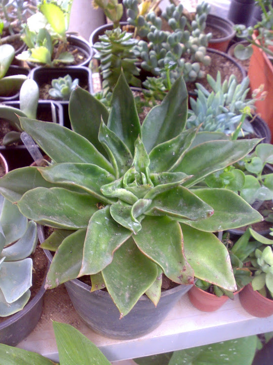 2408201213803.jpg