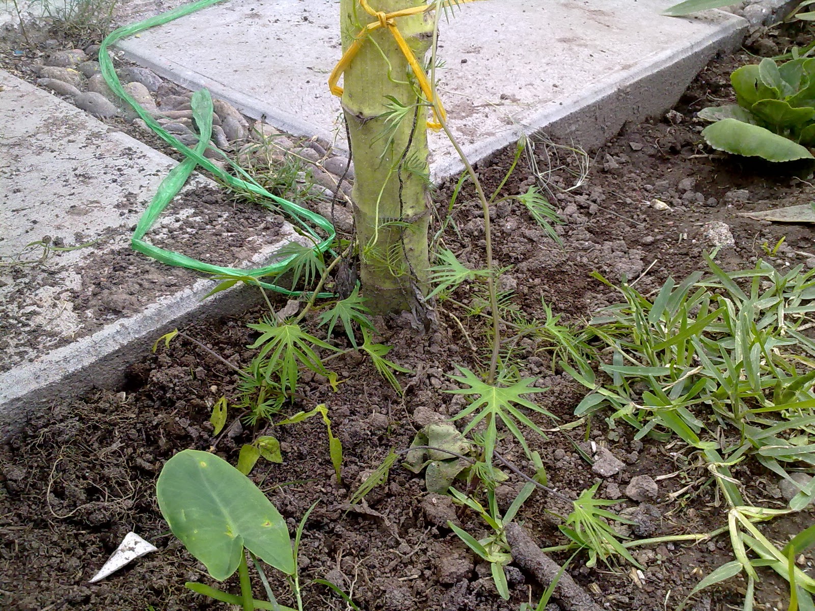 240920103723.jpg